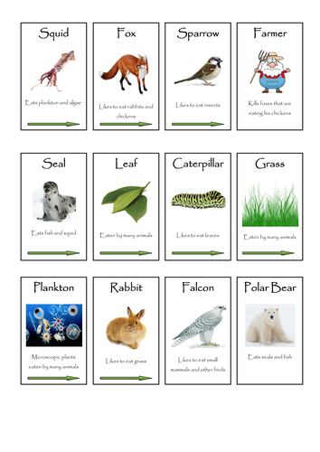 Plants, Animals and Microbes Full Scheme KS2 KS3 by ...