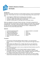 Bird Beaks by ChildrensMuseumOfHouston1 - Teaching Resources - Tes