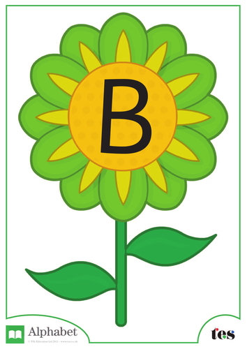 The Letter B - Flower Theme | Teaching Resources