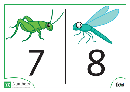 Number Cards - Minibeast Theme 1-10 | Teaching Resources