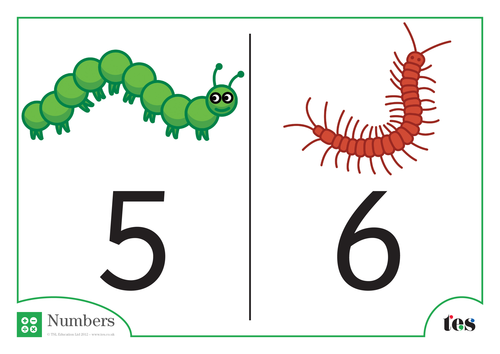 Number Cards - Minibeast Theme 1-10 | Teaching Resources