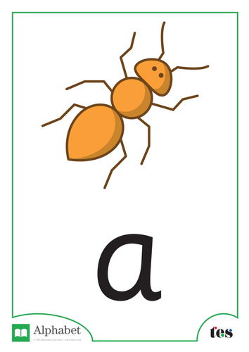 The Letter A - Minibeasts Theme | Teaching Resources