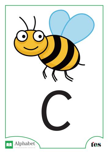 The Letter C - Minibeasts Theme | Teaching Resources