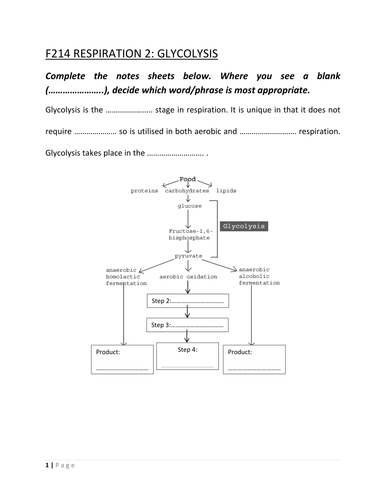 A-Level Respiration | Teaching Resources