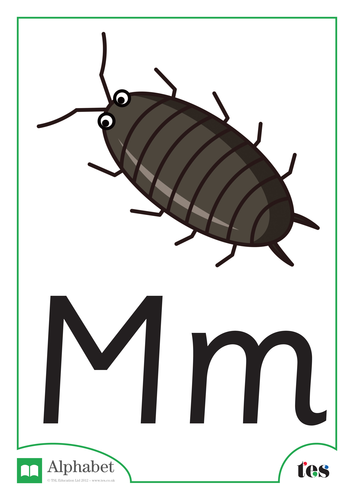 The Letter M - Minibeasts Theme | Teaching Resources