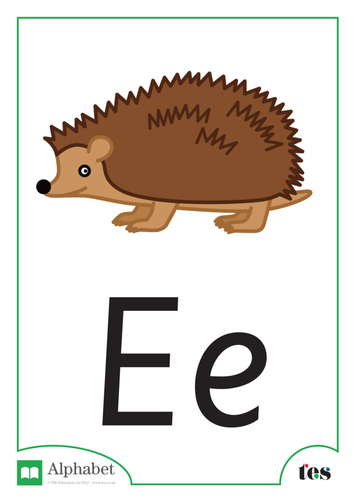 The Letter E - Nocturnal Animals Theme | Teaching Resources