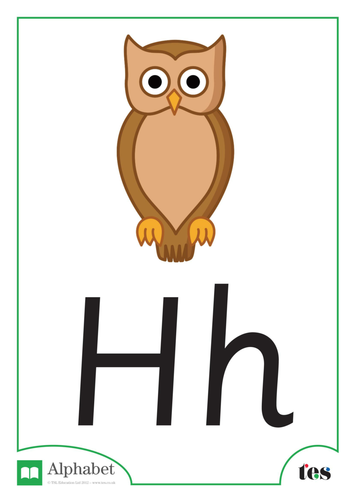 The Letter H - Nocturnal Animals Theme | Teaching Resources
