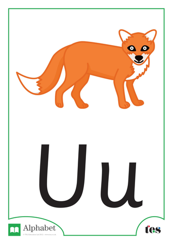 The Letter U - Nocturnal Animals Theme | Teaching Resources