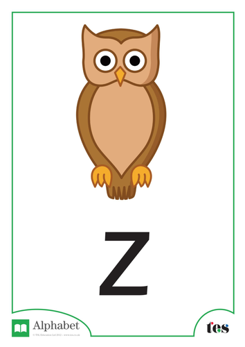 The Letter Z - Nocturnal Animals Theme | Teaching Resources