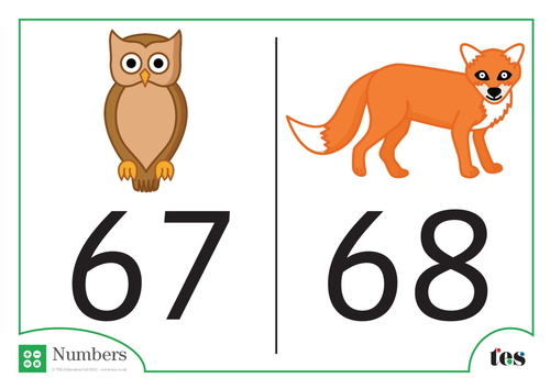 Number Cards - Nocturnal Animal Theme 61-70 | Teaching Resources