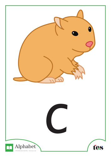 The Letter C - Pets Theme | Teaching Resources