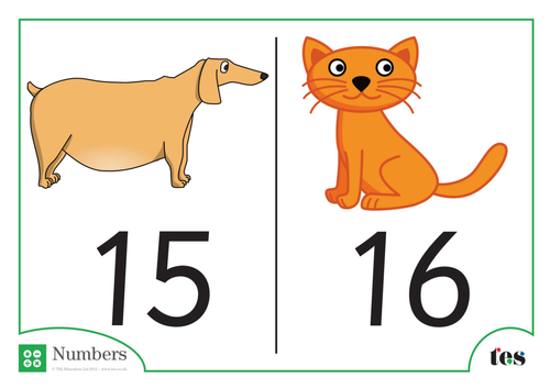 Number Cards - Pet Theme 11-20 | Teaching Resources