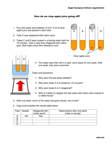 louis pasteur experiment worksheet