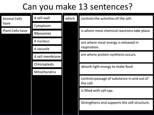 plant-and-animal-cell-sentences-teaching-resources