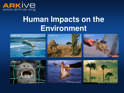 thesis statement for human impact on the environment