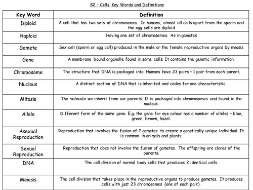 Mitosis and Meiosis (B2 edexcel) | Teaching Resources