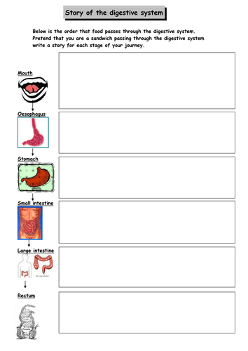 Story of the digestive system (EAL/SEN) | Teaching Resources