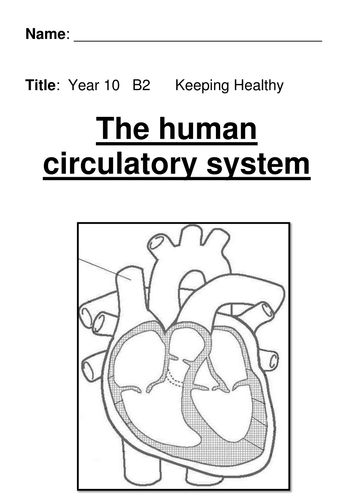 The heart and circulation | Teaching Resources