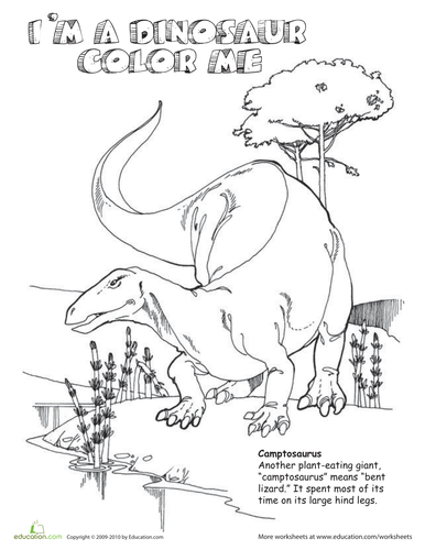 dinosaur colouring pages teaching resources