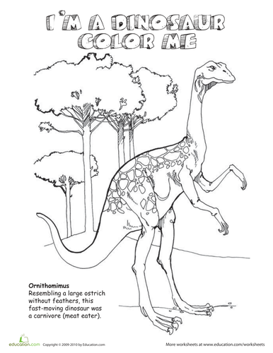 dinosaur colouring pages teaching resources