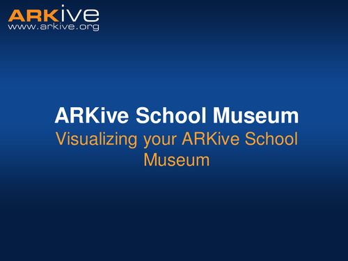 ppt, 170.5 KB