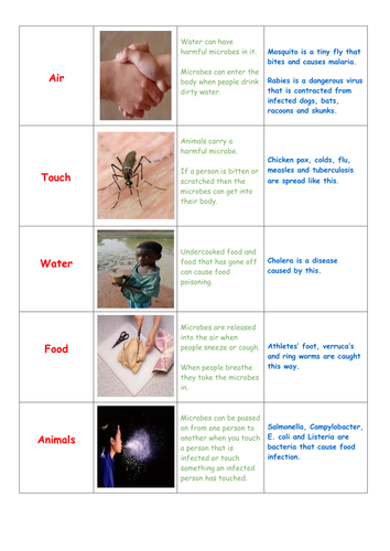 How disease are spread (card sort ) by km152 - Teaching Resources - TES