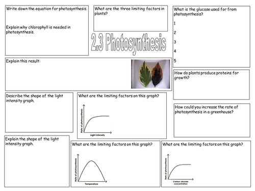 NEW AQA B2.3 Plants and photosynthesis revision | Teaching Resources
