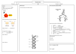 Nucleic acids summary worksheet by solefish - Teaching Resources - Tes