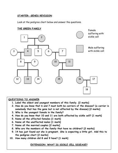 Printables Pedigree Chart Worksheet pedigree chart worksheet by jhinksman teaching resources tes