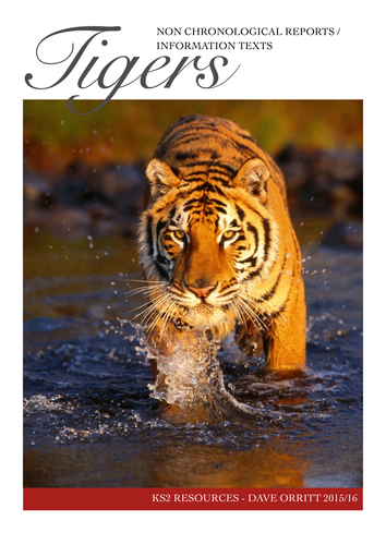 Non-Chronological Reports / Information writing on Tigers - Boys ...