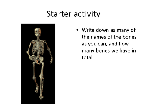 Tutorial on the skeleton system | Teaching Resources