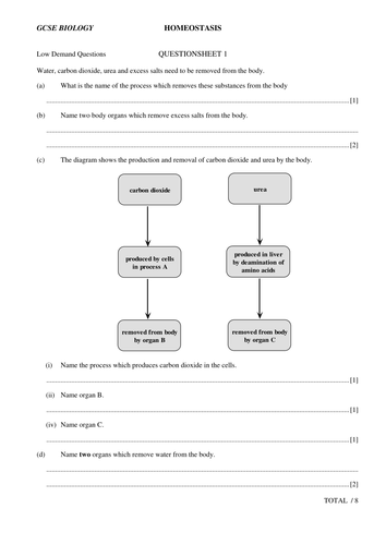 Printables Homeostasis Worksheet homeostasis essay questions topics doc