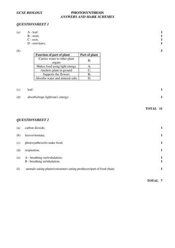 GCSE plants questions and answers | Teaching Resources