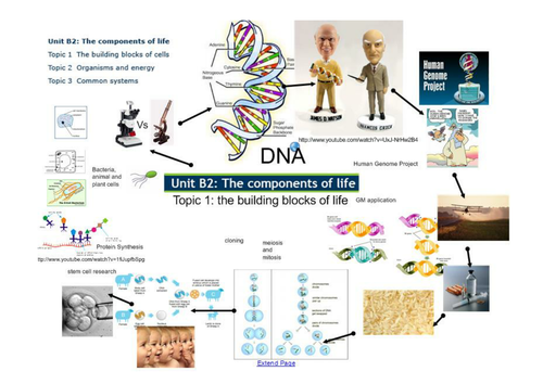 Edexcel B2.1 building blocks of life overview A3 | Teaching Resources