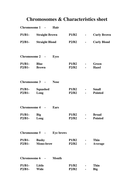 Chromosomes lesson | Teaching Resources