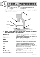 Parts of a Microscope Worksheet by dazayling - Teaching Resources - Tes