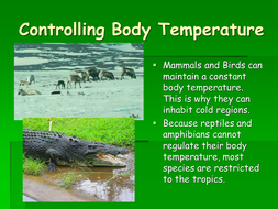 temperature body controlling