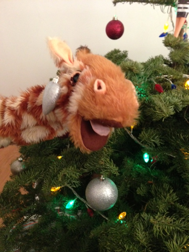 Geraldine Giraffe Does Christmas! | Teaching Resources