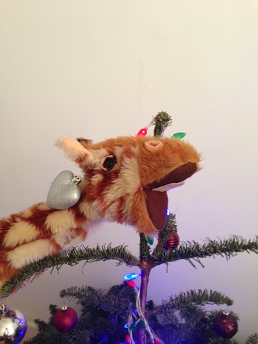 Geraldine Giraffe Does Christmas! | Teaching Resources