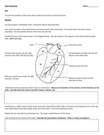 Dissection handouts by Masfar - Teaching Resources - Tes