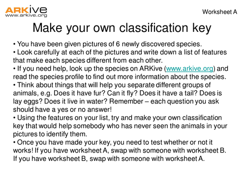 Species Discovery - Keys and Classification | Teaching Resources