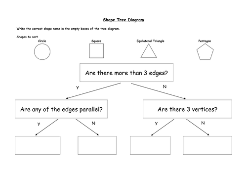 shape tree diagram sort and classify teaching resources