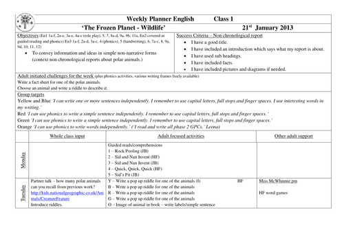 Year 1 Topic Planning 'Frozen Planet' | Teaching Resources
