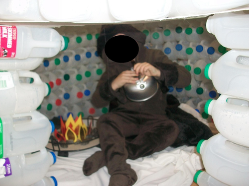 Year 1 Topic Planning 'Frozen Planet' | Teaching Resources