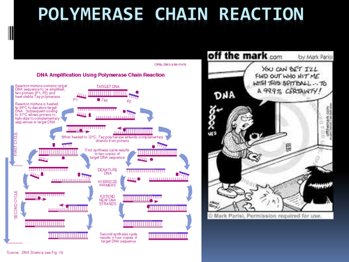 Polymerase chain reaction lesson | Teaching Resources