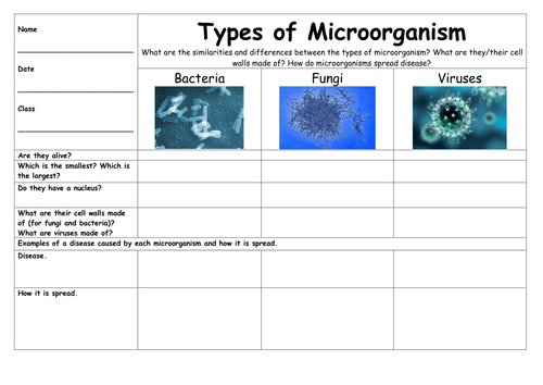 Microorganisms Table: Bacteria, Fungi, Viruses | Teaching Resources