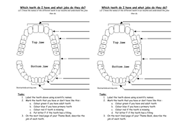 Teeth Unit Plan by Capital_Zab - Teaching Resources - Tes