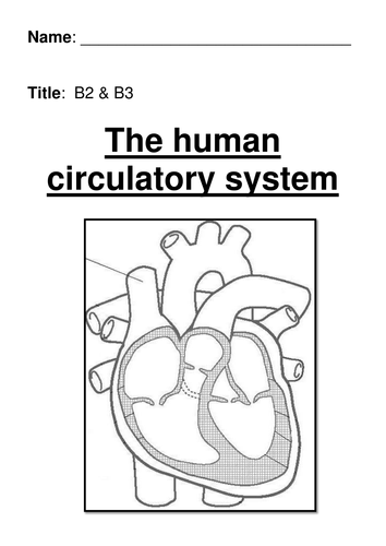 docx, 635.84 KB