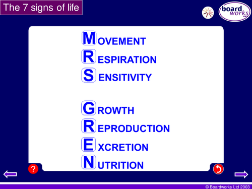 MRS GREN | Teaching Resources