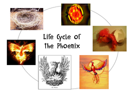 Phoenix myth resources, narrative writing | Teaching Resources